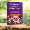 Ericaceous Compost 60L 1 Ericaceous Compost 60L -OWL Plant Shop 100042