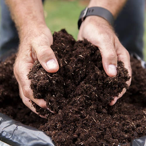 Premium Professional Compost Blend - 100L Plus Fertiliser Plus Free P&p 6 Premium Professional Compost Blend - 100L Plus Fertiliser Plus Free P&p - Image 4