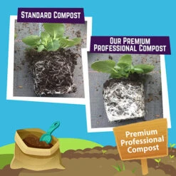 Premium Professional Compost Blend - 100L Plus Fertiliser Plus Free P&p 14 Premium Professional Compost Blend - 100L Plus Fertiliser Plus Free P&p -OWL Plant Shop 100101 5