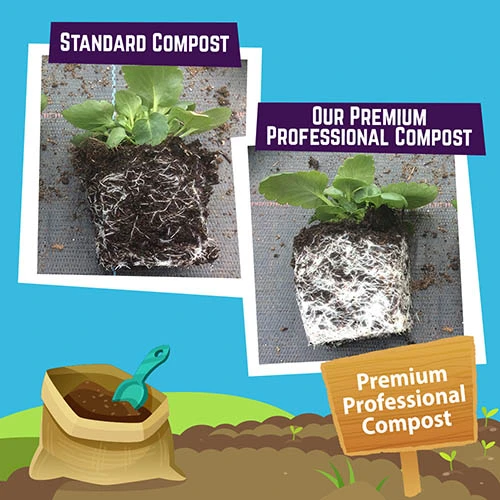 Premium Professional Compost Blend - 100L Plus Fertiliser Plus Free P&p 8 Premium Professional Compost Blend - 100L Plus Fertiliser Plus Free P&p - Image 6