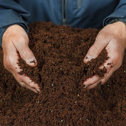 Eazy Grow MP Peat Free Coco Compost 3 Eazy Grow MP Peat Free Coco Compost - Image 2