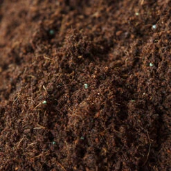 Eazy Grow MP Peat Free Coco Compost 8 Eazy Grow MP Peat Free Coco Compost -OWL Plant Shop 100181 2