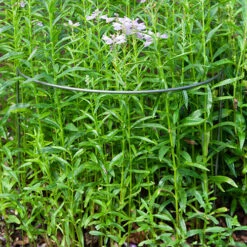 Ready To Rust Curved Steel Plant Supports 3 Pack