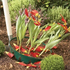 Round Bulb Baskets (Pack Of 3) 14 Round Bulb Baskets (Pack Of 3) -OWL Plant Shop 120105 5