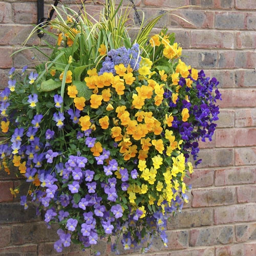 Pair Of 12 Easy Fill Hanging Baskets 4 Pair Of 12 Easy Fill Hanging Baskets - Image 2