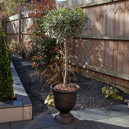 Black And Bronze Vertical Urn 5 Black And Bronze Vertical Urn - Image 3