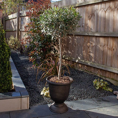 Pair Of Black Bronze Vertical Garden Urns 4 Pair Of Black Bronze Vertical Garden Urns - Image 2