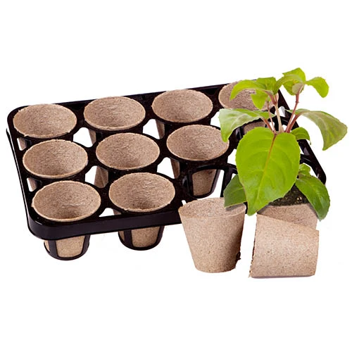 Skelly Tray X 3 And 36 Jiffy Bio Pots 3 Skelly Tray X 3 And 36 Jiffy Bio Pots