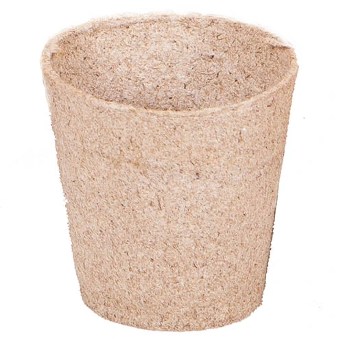 Skelly Tray X 3 And 36 Jiffy Bio Pots 5 Skelly Tray X 3 And 36 Jiffy Bio Pots - Image 3