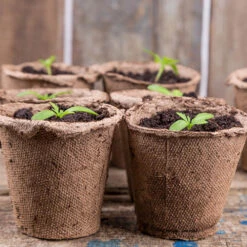 Skelly Tray X 3 And 36 Jiffy Bio Pots 12 Skelly Tray X 3 And 36 Jiffy Bio Pots -OWL Plant Shop 130325 3