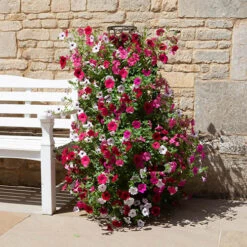 Tower Planter And Trellis 9 Tower Planter And Trellis -OWL Plant Shop 130461 3