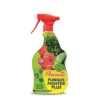 Provanto Fungus Fighter Plus 1 Provanto Fungus Fighter Plus -OWL Plant Shop 150106