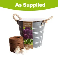 Outdoor Metal Bucket Allium Planter 8 Outdoor Metal Bucket Allium Planter -OWL Plant Shop 161184 2