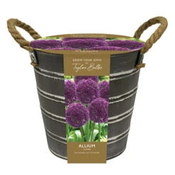 Outdoor Metal Bucket Allium Planter 9 Outdoor Metal Bucket Allium Planter -OWL Plant Shop 161184 3