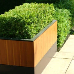 Box Hedging Pack X 10 12 Box Hedging Pack X 10 -OWL Plant Shop 230029 4