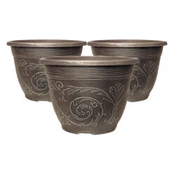 Blueberry Collection With Decorative Pots 11 Blueberry Collection With Decorative Pots -OWL Plant Shop 310082 4