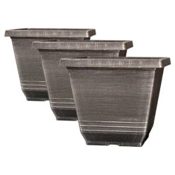 The Complete Blueberry Growing Kit 15 The Complete Blueberry Growing Kit -OWL Plant Shop 310083 5