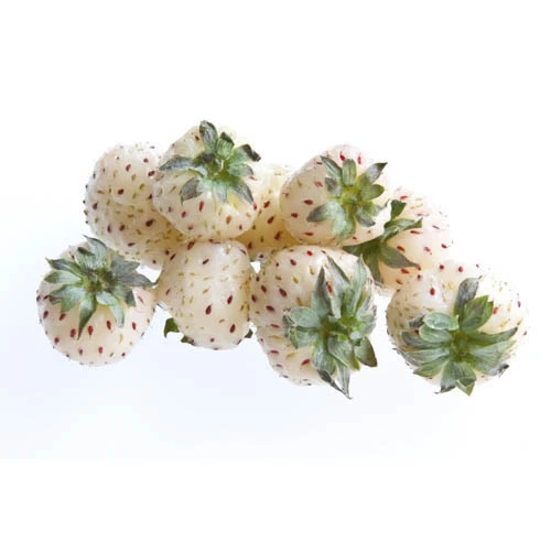 White Strawberry (Pineberry) 'White Dream' 4 White Strawberry (Pineberry) 'White Dream' - Image 2