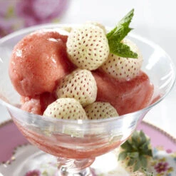 White Strawberry (Pineberry) 'White Dream' 10 White Strawberry (Pineberry) 'White Dream' -OWL Plant Shop 320015 3