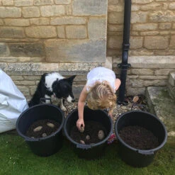 Complete Patio Potato Growing Kit 16 Complete Patio Potato Growing Kit -OWL Plant Shop 350007 5