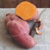 Sweet Potato Ipomoea Erato Orange 2 Sweet Potato Ipomoea Erato Orange -OWL Plant Shop 350085