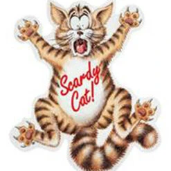 Coleus Canina 'Scardy Cat Plant' 10 Coleus Canina 'Scardy Cat Plant' -OWL Plant Shop 400092 3