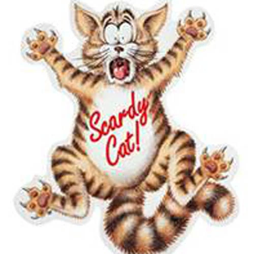 Coleus Canina 'Scardy Cat Plant' 6 Coleus Canina 'Scardy Cat Plant' - Image 4