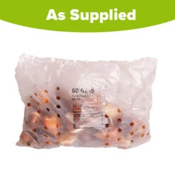 Best Seller -OWL Plant Shop 600245 1