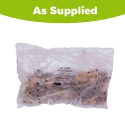 Polianthes Tuberosa 'The Pearl' 11 Polianthes Tuberosa 'The Pearl' -OWL Plant Shop 630004 4