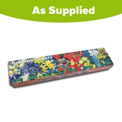 'Balcony Beauty' Drop In Bulb Kit 15 'Balcony Beauty' Drop In Bulb Kit -OWL Plant Shop 630107 6