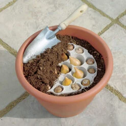 Tulip And Muscari Drop In Bulb Kit 9 Tulip And Muscari Drop In Bulb Kit -OWL Plant Shop 630187 2