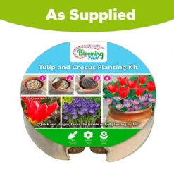 Tulip And Crocus Drop In Bulb Kit 11 Tulip And Crocus Drop In Bulb Kit -OWL Plant Shop 630188 4