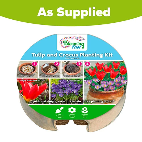 Tulip And Crocus Drop In Bulb Kit 7 Tulip And Crocus Drop In Bulb Kit - Image 5