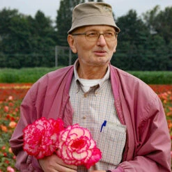 Belgian Giant Trailing Begonias 13 Belgian Giant Trailing Begonias -OWL Plant Shop 630193 5
