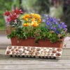 'Balcony Beauty' Drop In Summer Bulb Kit 2 'Balcony Beauty' Drop In Summer Bulb Kit -OWL Plant Shop 630217
