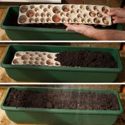 'Balcony Beauty' Drop In Summer Bulb Kit 18 'Balcony Beauty' Drop In Summer Bulb Kit -OWL Plant Shop 630217 7