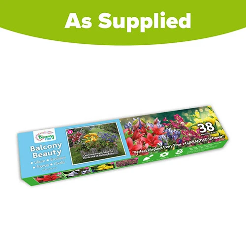 'Balcony Beauty' Drop In Summer Bulb Kit 11 'Balcony Beauty' Drop In Summer Bulb Kit - Image 9