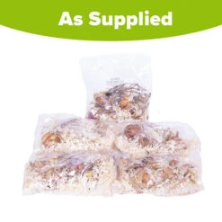 Skyscraper Lily Collection 17 Skyscraper Lily Collection -OWL Plant Shop 630326 7