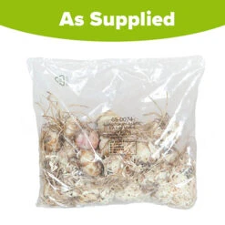 Longiflorum Asiatic LA Lilies 15 Longiflorum Asiatic LA Lilies -OWL Plant Shop 650074 6