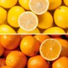 Orange & Lemon Collection With Feed 1 Orange & Lemon Collection With Feed -OWL Plant Shop 680021