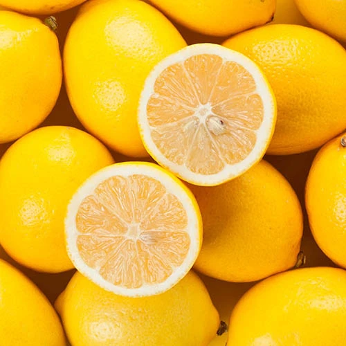 Pair Of Large Lemon Trees 5 Pair Of Large Lemon Trees - Image 3